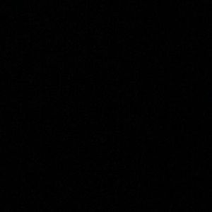 Meet your Posher, Donte